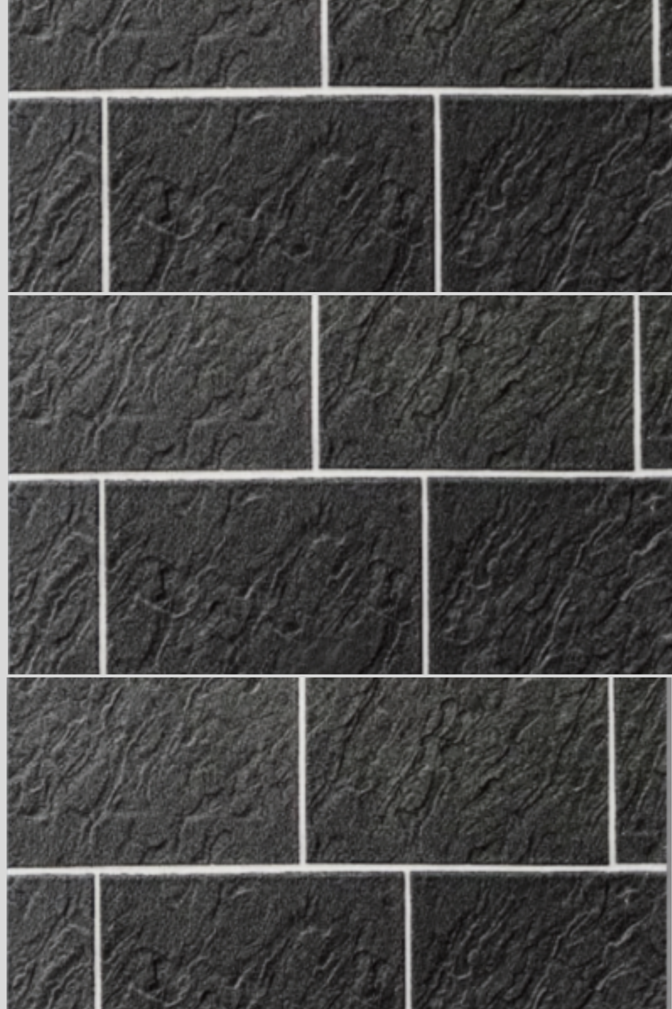 BLS 017